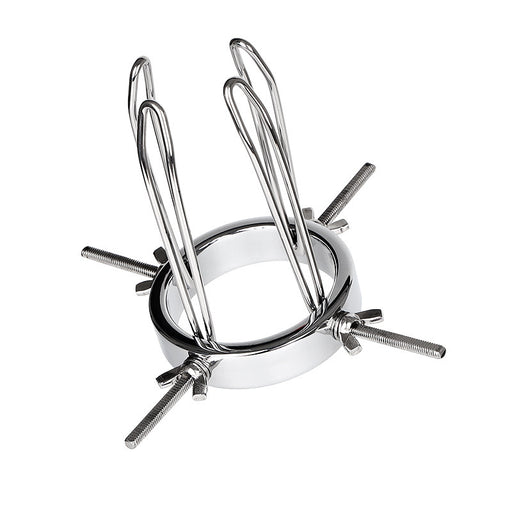 Oculus Stainless Steel Speculums Anal Virginal Explorer