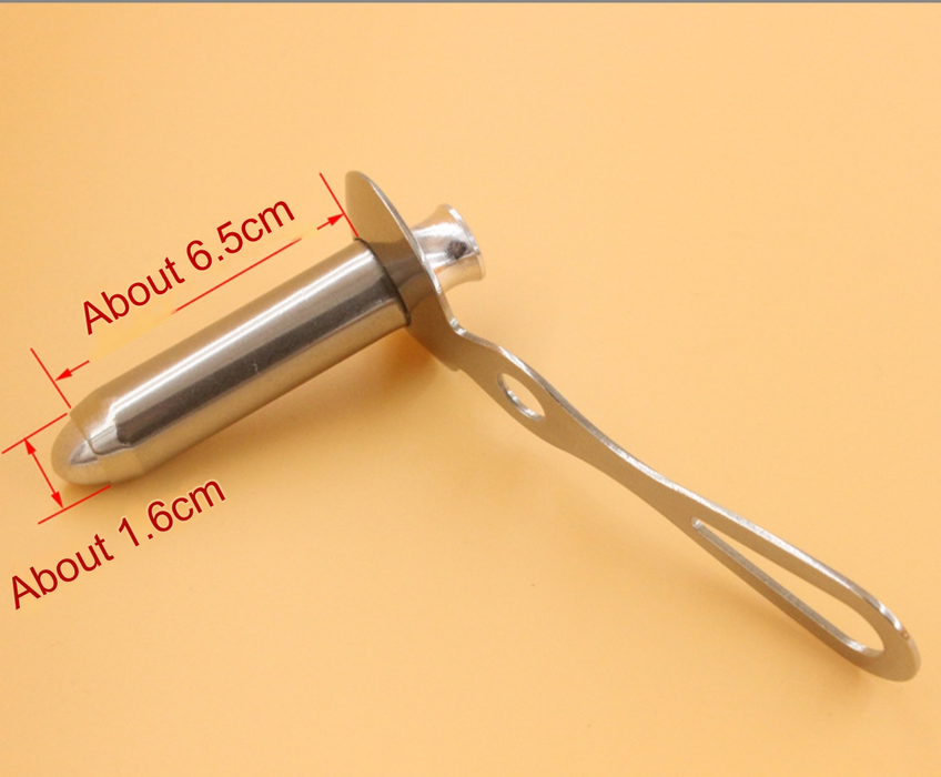 Medical Speculum Stainless Steel Anal Explorer