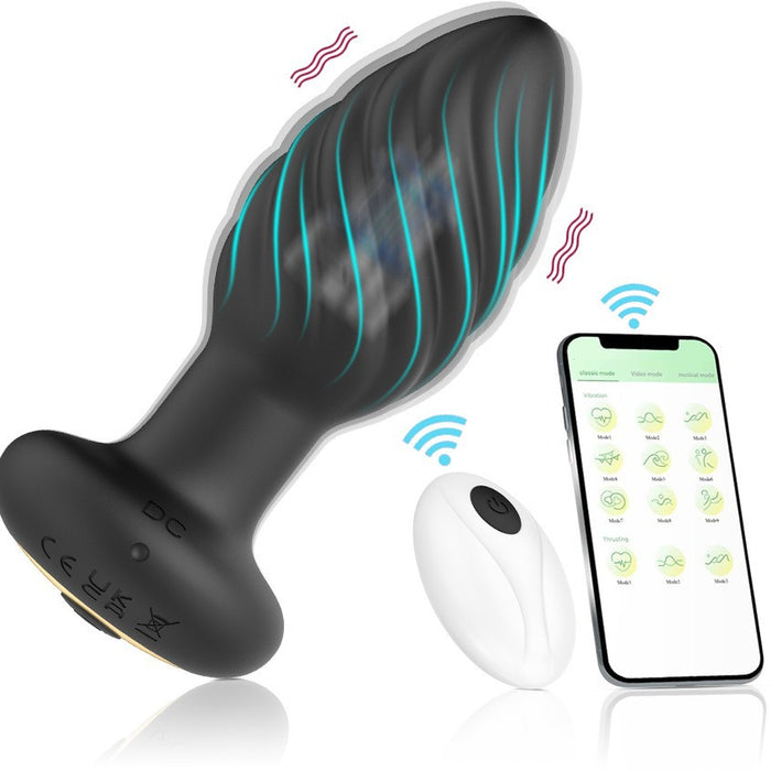 APP controls male and female anal vibrators